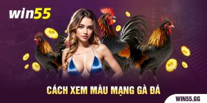 Cách xem màu mạng gà đá