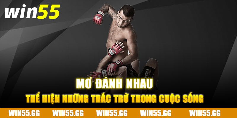 Giấc mơ đánh nhau thể hiện những trắc trở trong cuộc sống