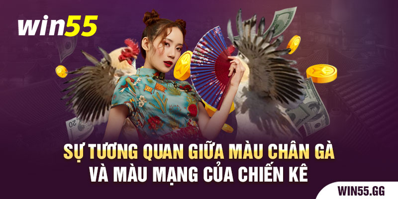 Sự tương quan giữa màu chân gà và màu mạng của chiến kê