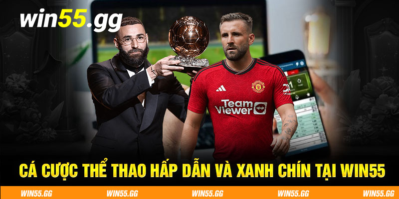 Cá cược thể thao hấp dẫn và xanh chín tại WIN55