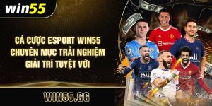 Cá Cược Esport Win55 - Chuyên Mục Trải Nghiệm Giải Trí Tuyệt Vời