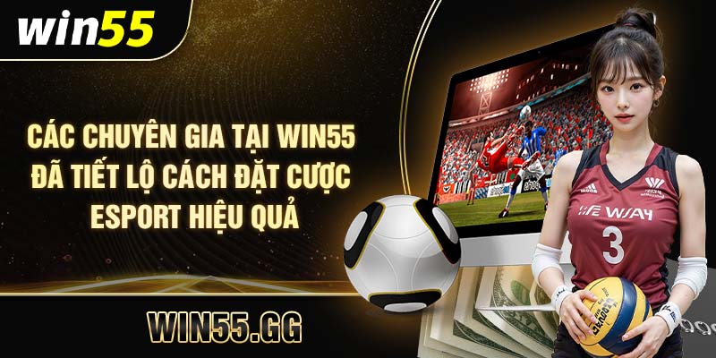 Các chuyên gia tại Win55 đã tiết lộ cách đặt cược Esport hiệu quả